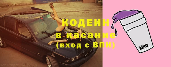 гашик Верея