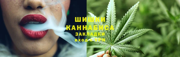 гашик Верея