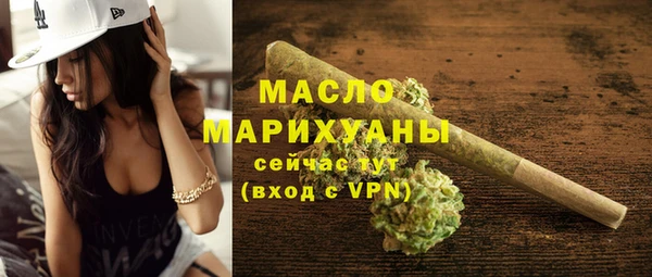 гашик Верея
