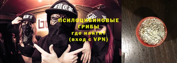 гашик Верея