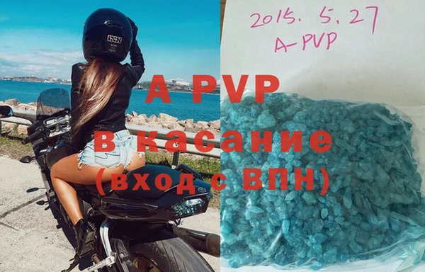 гашик Верея